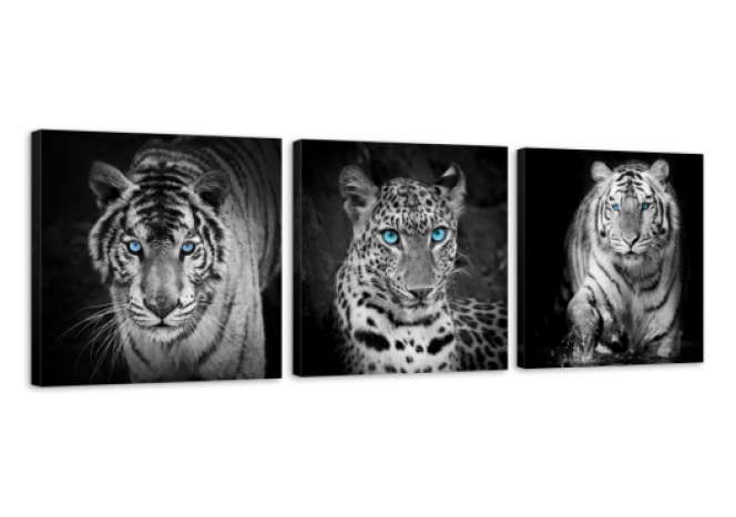 Модуль 143 "Тигры и леопард"