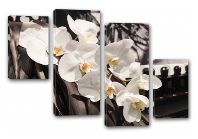 Модуль 230 "Белые орхидеи"