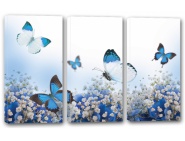 Модуль 229 "Синие бабочки"