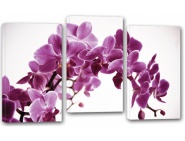 Модуль 228 "Фиолетовая орхидея"