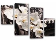 Модуль 230 "Белые орхидеи...