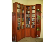 Книжный шкаф 2